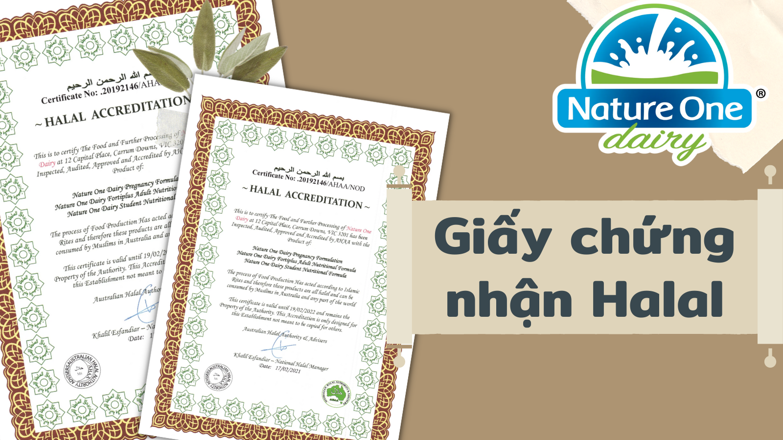 Sữa Nature One Dairy đạt chứng nhận HALAL