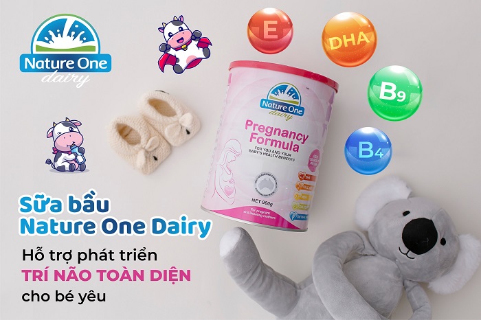 Nature One Dairy Pregnancy Formula